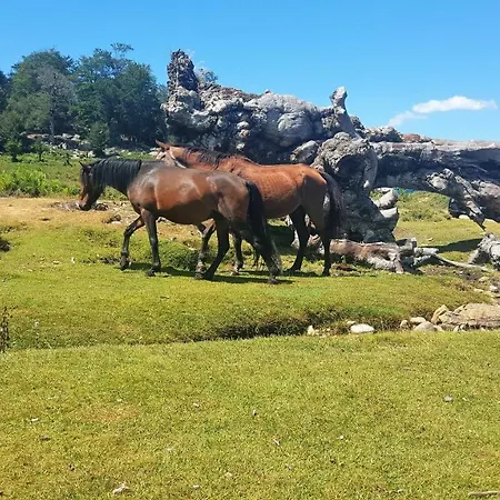 Les Montagne Alta Rocca *