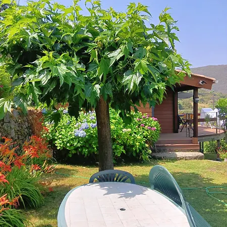 Les Montagne Alta Rocca * Zicavo