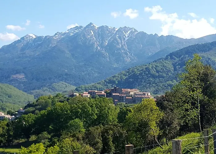 Chalet Les Montagne Alta Rocca Zicavo