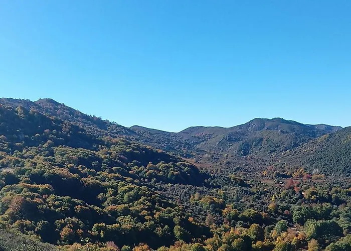 Les Montagne Alta Rocca Chalet Zicavo