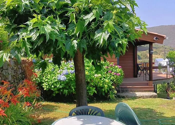 Les Montagne Alta Rocca * Zicavo