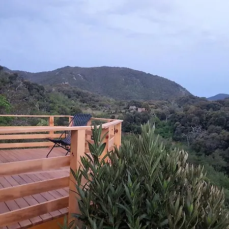 Les Montagne Alta Rocca * Zicavo