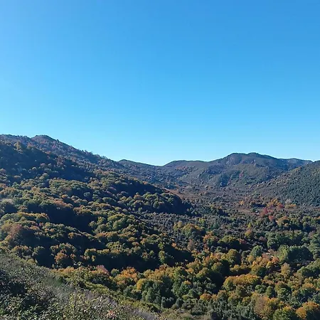 Les Montagne Du Taravo شاليه Zicavo