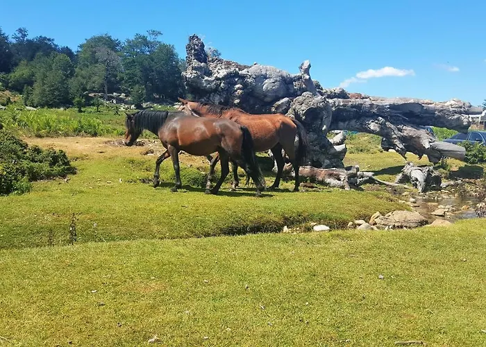 Les Montagne Alta Rocca *