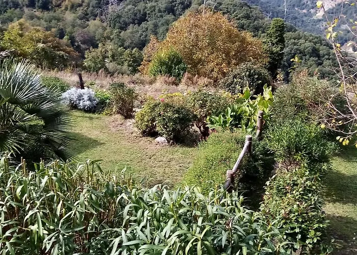 Les Montagne Alta Rocca Zicavo