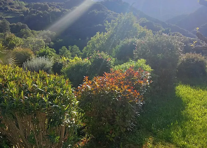 Les Montagne Alta Rocca Chalet *